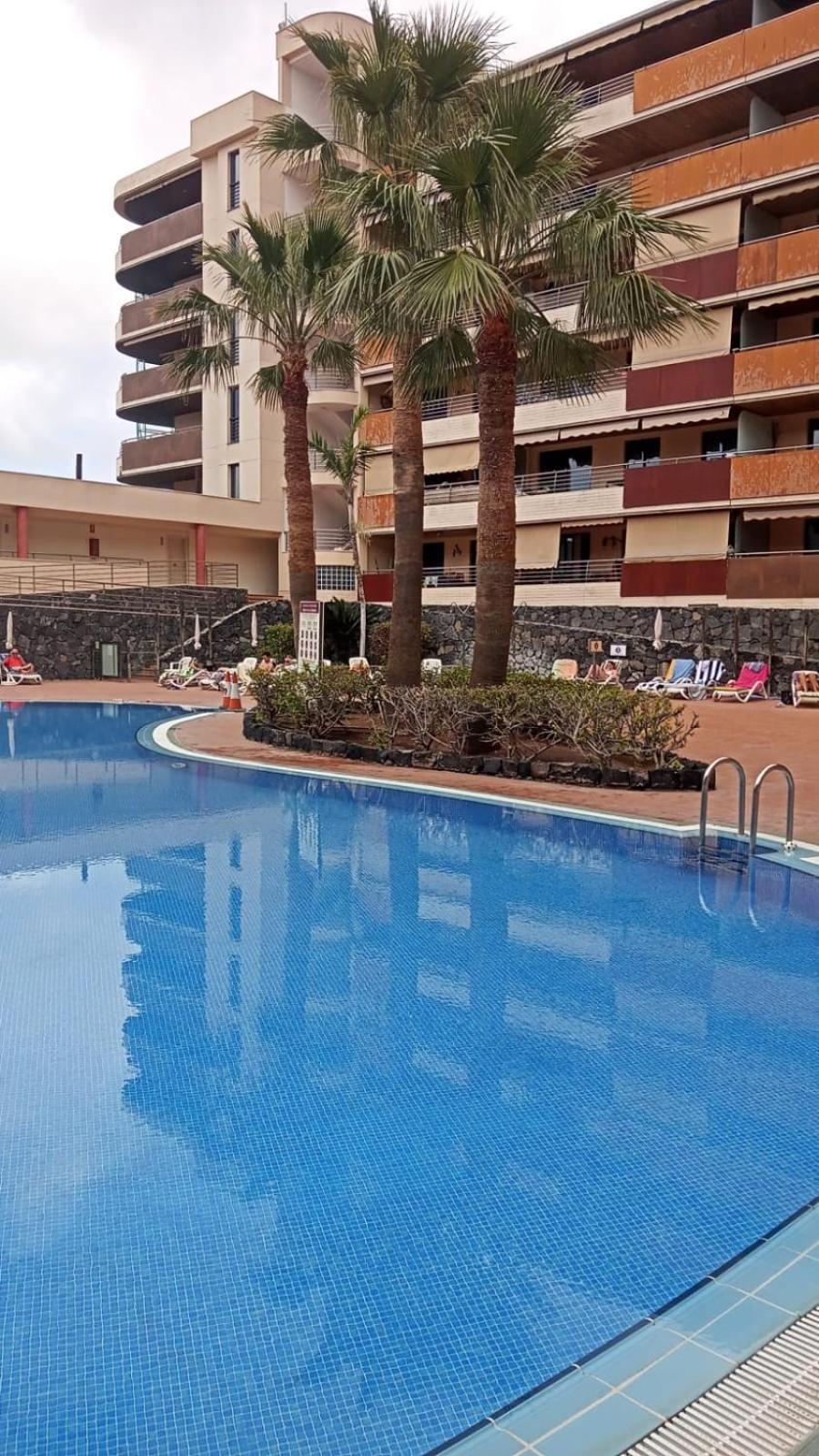 Vistas De Los Gigantes Apartamento 2 Dormitorios Puerto de Santiago  Dış mekan fotoğraf